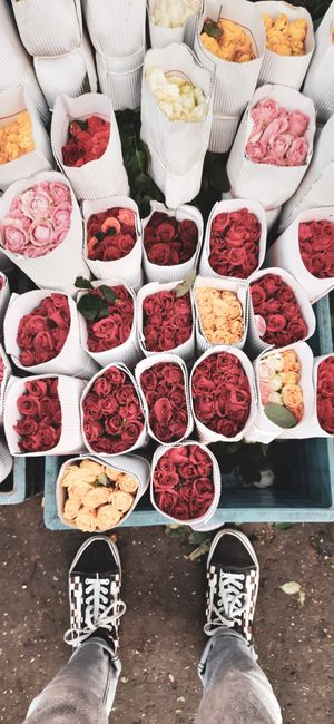 A top-down view of numerous bouquets of fresh, vibrant roses arranged in white paper sleeves. The roses are predominantly deep red and soft pink, with some peach-colored blooms, all in full bloom with
